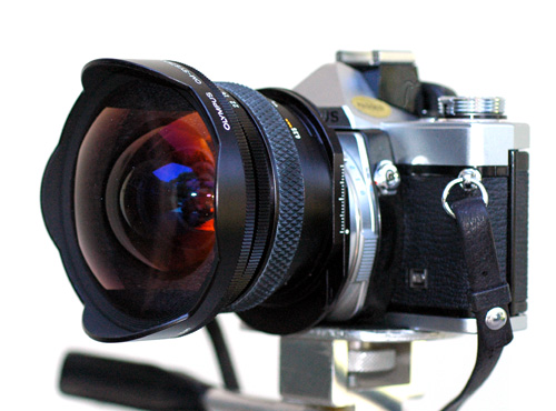 24mmshiftoncamera